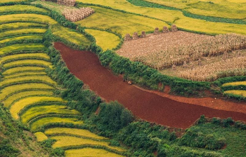 Rondreis CHINA: YUNNAN - 22 dagen; Langs de Zuid-Chinese theeroute